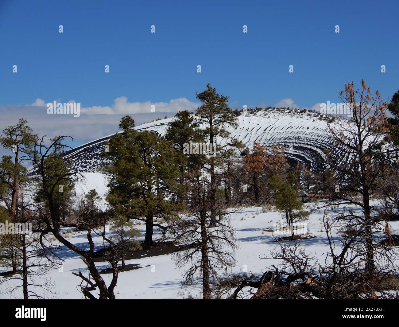 Flagstaff, AZ. U.S.A. 3/20/2024. Sunset Crater Volcano National
