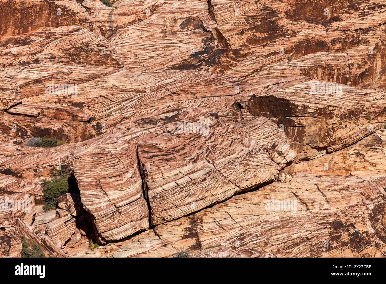Red Rock Canyon, Nevada.  Calico Hills, Cross-bedding in Aztec Sandstone, from Ancient Sand Dunes. Stock Photo