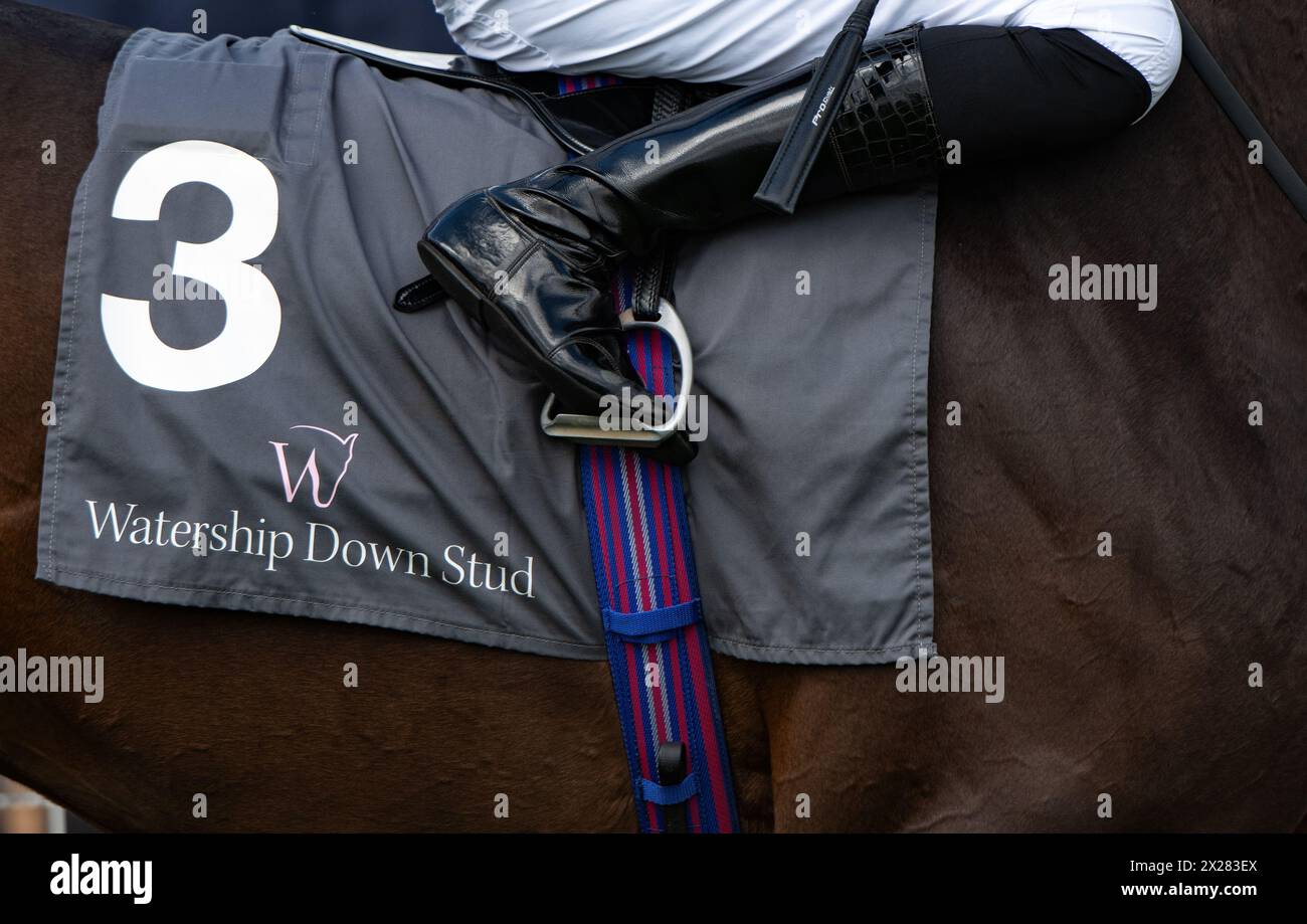 The saddlecloth of a runner in the Watership Down Stud Too Darn Hot Greenham Stakes at Newbury Racecourse, Berkshire, on Spring Trials Day, Saturday 2. Stock Photo