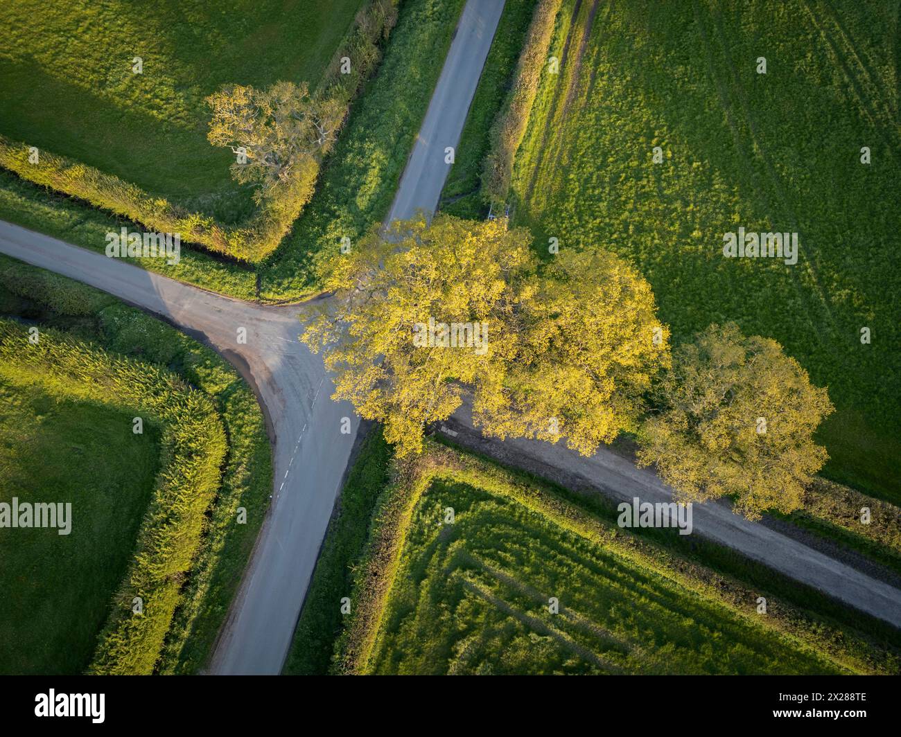 Evening spring sunlight casts shadows over the land at a little crossroads in Worcestershire, England. Stock Photo