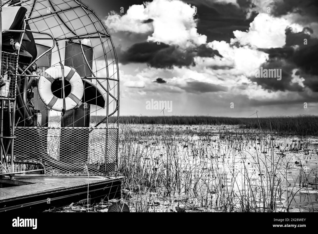 airboat in the everglades of Florida with grass and wetland swamp in