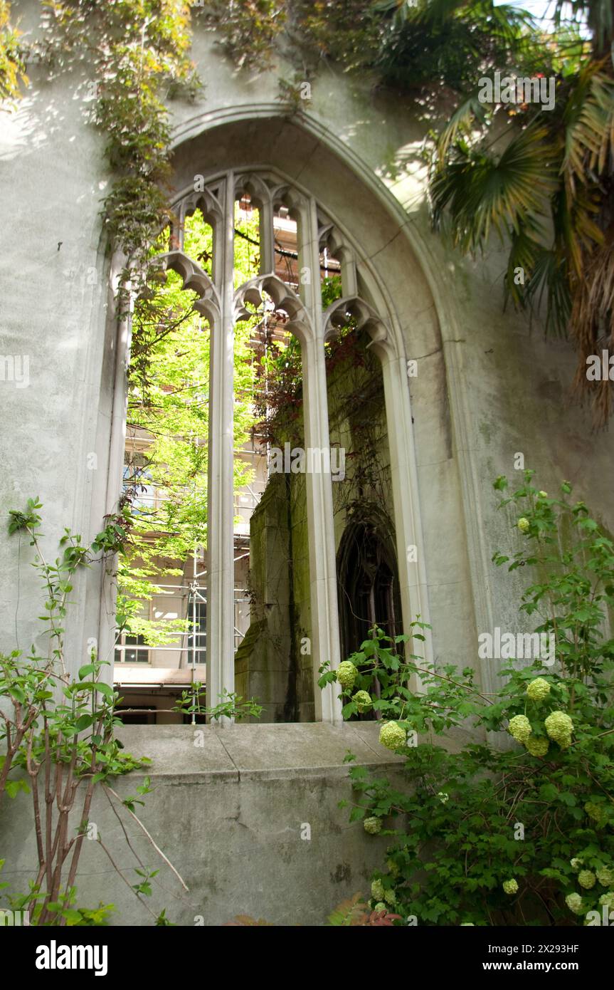 Damaged walls, window, plants and garden, St Dunstan in the East, City of London, UK.  There have been many churches here, the last being built by Sir Stock Photo