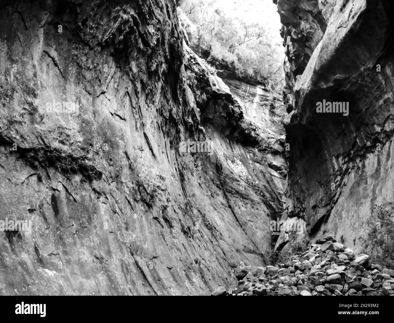 The curved walls within the Eco Ravine, a slot canyon in the Golden Gate Highlands National Park of South Africa, in black and white Stock Photo