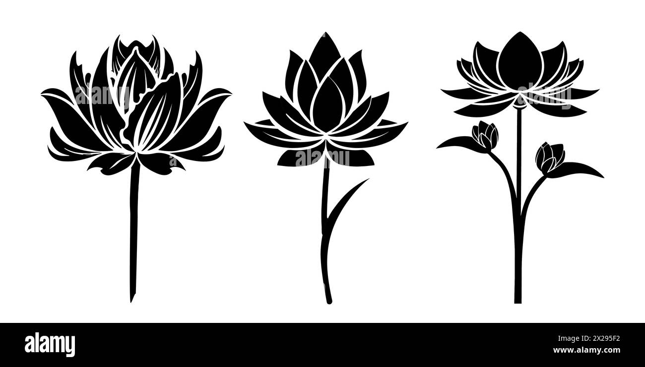 Set of Lotus, Water Lily flower black silhouettes. July birth month