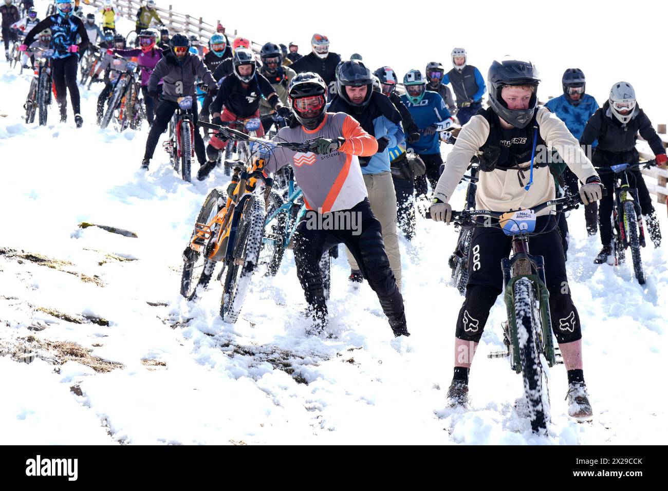 Cyclists take part in MacAvalanche, a mass mountain bike race through the snow, descending over 900m from the summit of Aonach Mor in the Nevis Range near Fort William. Picture date: Saturday April 20, 2024. Stock Photo