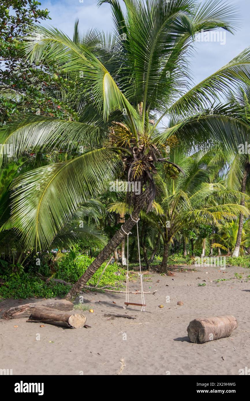 La palmera hi-res stock photography and images - Alamy