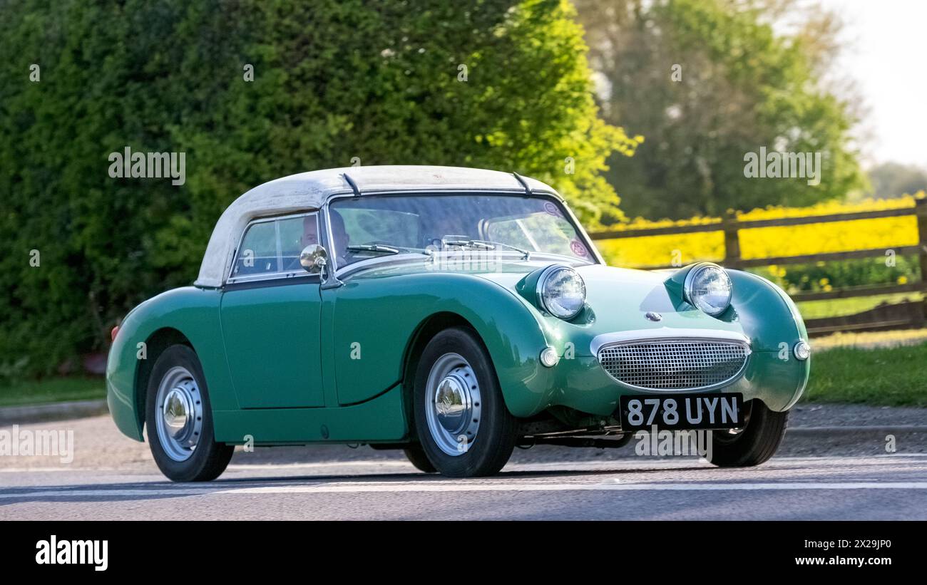 Bicester,UK,21st Apr 2024, Proud owner driving a classic 1960 Austin Healey 'frog eye' Sprite car on the 2024 annual Drive It Day when enthusiasts use their classic and vintage cars to raise money for childrens charities. Stock Photo