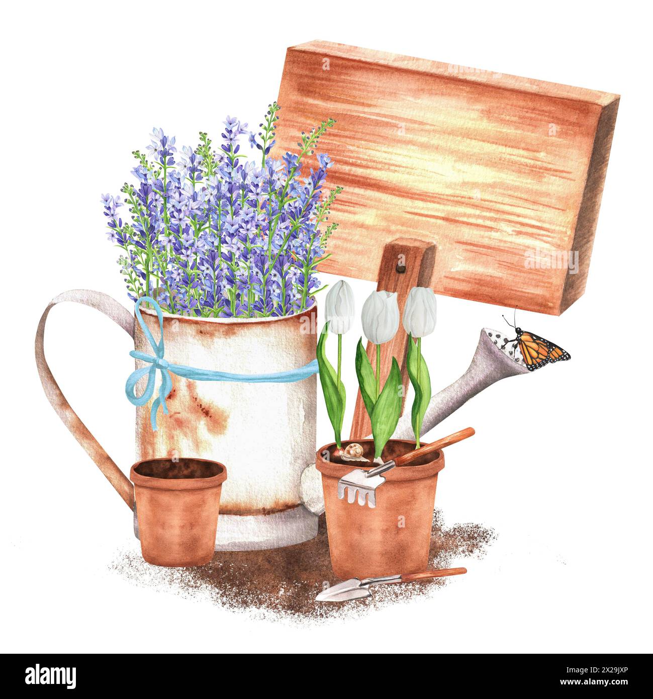 Hand-drawn watercolor illustration. Rustic scene with a watering can with lavender, flowerpots, white tulips and garden tools and wooden tablet Stock Photo