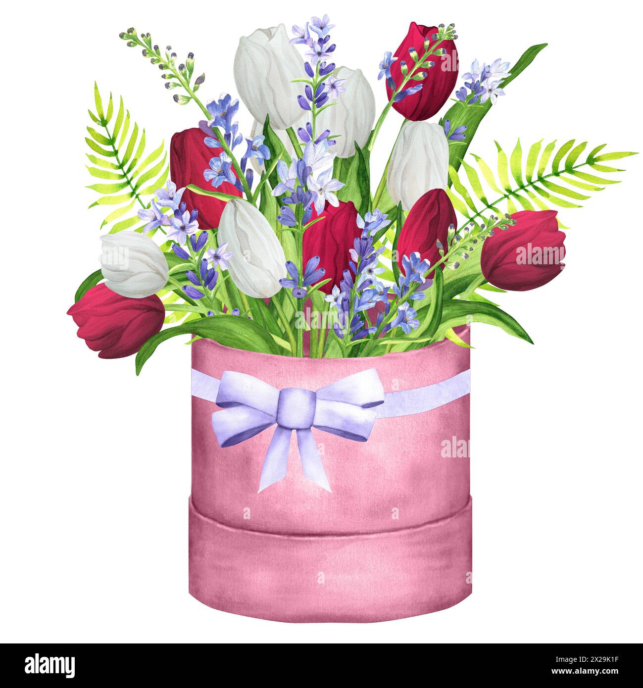 Hand-drawn watercolor illustration. Flower composition with white and red tulips, lavender, fern and green leaves. Spring flowers in the gift box. Bea Stock Photo