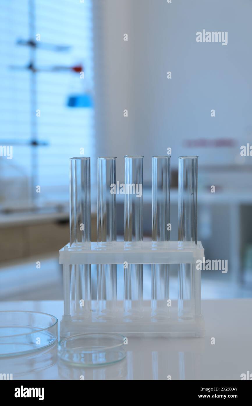 Laboratory analysis. test tubes and petri dishes on white table indoors ...