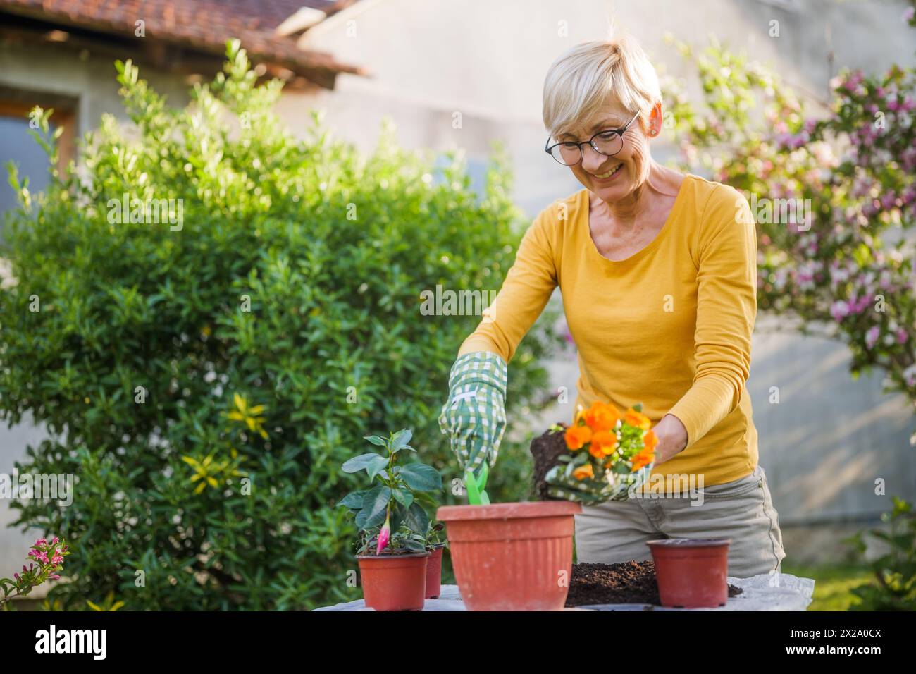 Happy senior woman gardening in her yard. She is planting flowers Stock ...