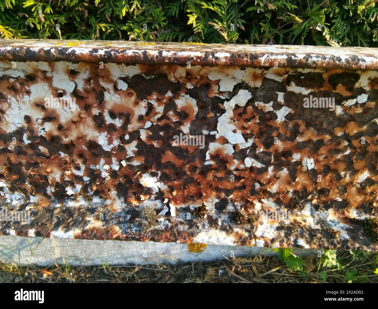 IMAGE POUVANT SERVIR DE TEXTURE Stock Photo