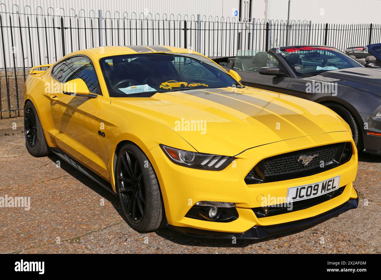 Ford Mustang GT 5.0 V8 (2016), Mustang 60, 20th April 2024, Brooklands Museum, Weybridge, Surrey, England, UK, Europe Stock Photo