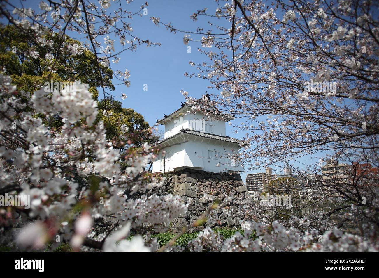 Funai Castle in Oita City, Oita Prefecture, on the island of Kyushu