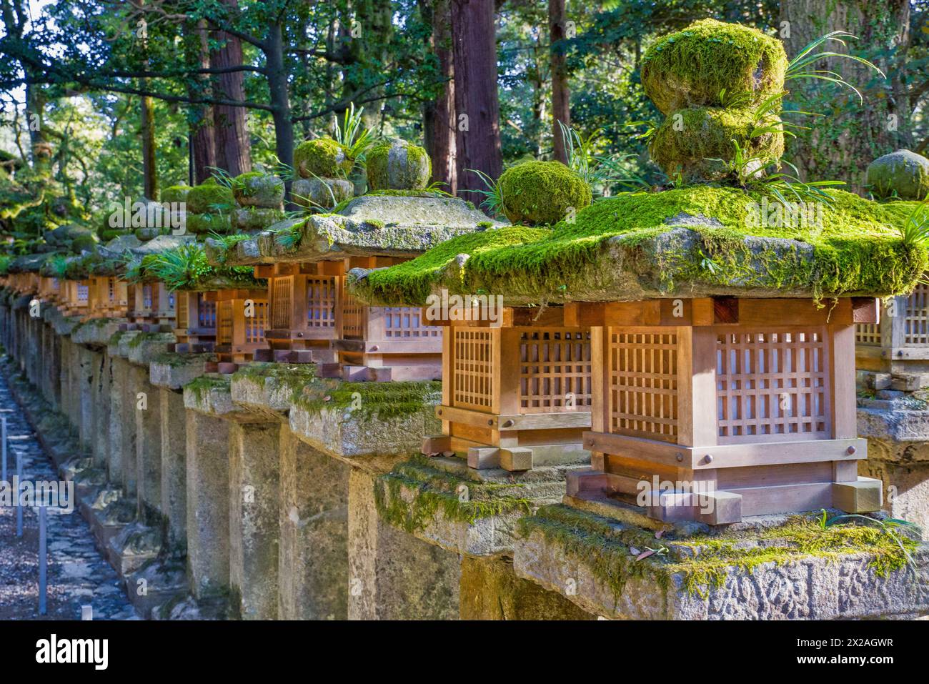 old japanese stone lanterns overgrown with moss in a row illuminated by the sun Stock Photo