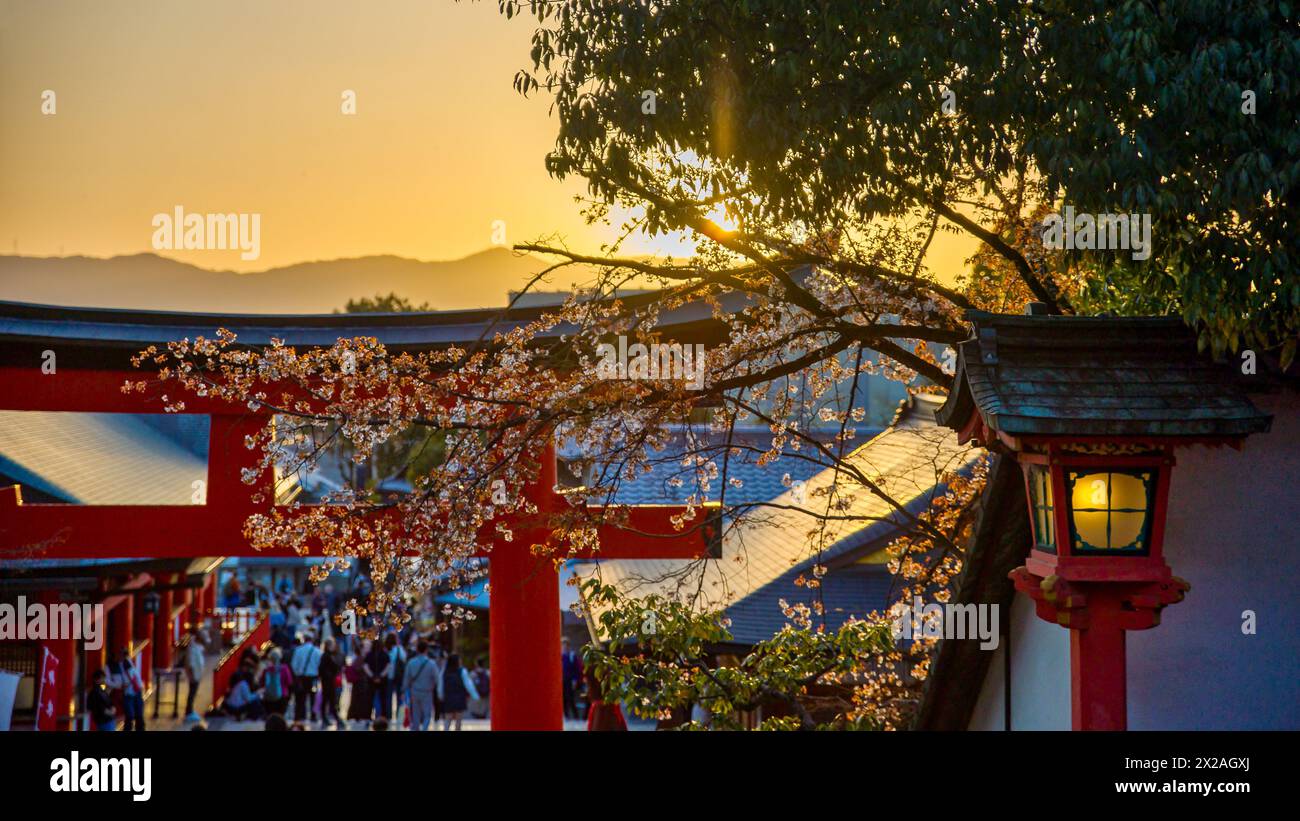 a red shrine in the evening sunlight with cherry blossoms and a view of the mountains of kyoto Stock Photo