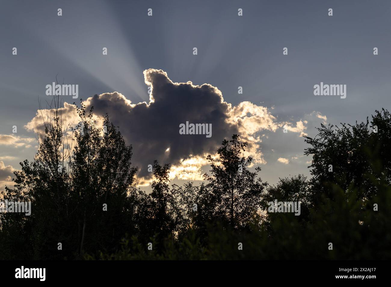 Sunbeams radiate from behind hi-res stock photography and images - Alamy