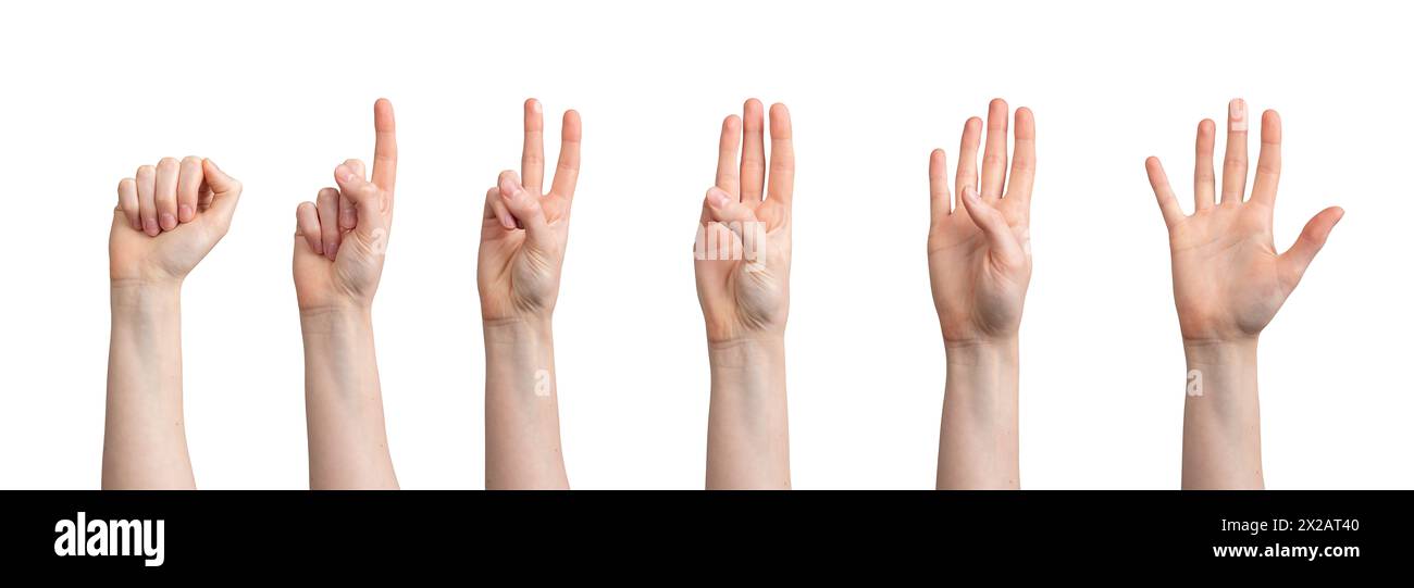 Fingers counting from zero one two three four to five numbers hand