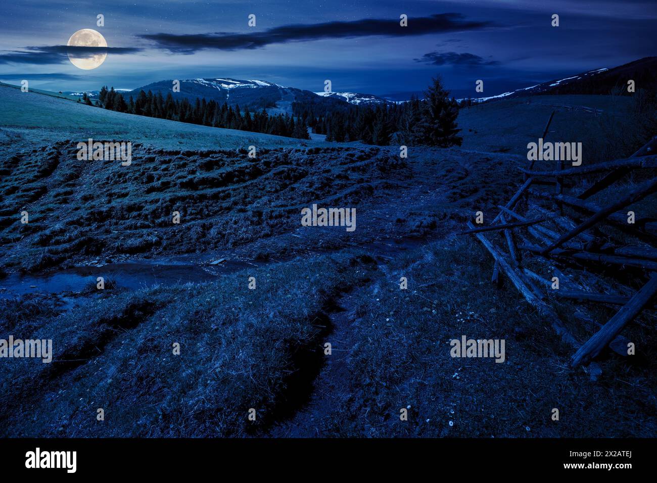 carpathian countryside scenery in spring at night. mountainous rural landscape with broken wooden fence in full moon light. fir forest on the grassy h Stock Photo