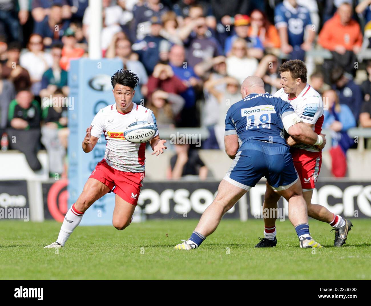 Salford, Lancashire, UK. 21st April 2024; Salford Community Stadium, Salford, Lancashire, England; Gallagher Premiership Rugby, Sale Sharks versus Harlequins;  Marcus Smith of Harlequins grabs the ball Credit: Action Plus Sports Images/Alamy Live News Stock Photo