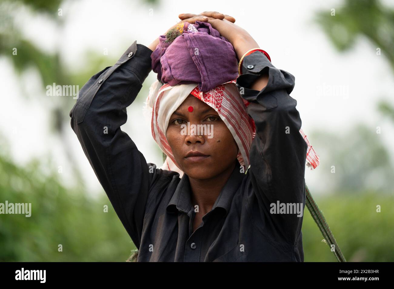 April 20, 2024: Bokakhat, India. 20 April 2024. Women tea plucker returns after plucking tea leaves at a tea estate, in Bokakhat, Assam, India. The tea industry in Assam is a significant and integral part of the global tea production and a major player in the economy of India. Assam, located in the northeastern part of India, is one of the world's largest tea-producing regions, known especially for its Assam tea, a black tea known for its body, briskness, malty flavor, and strong, bright color. (Credit Image: © David Talukdar/ZUMA Press Wire) EDITORIAL USAGE ONLY! Not for Commercial USAGE! Stock Photo