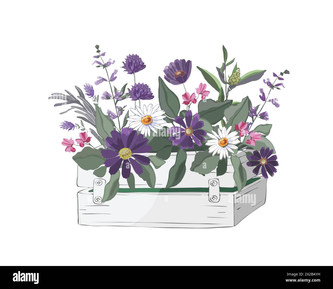 Vector flowers and herbs in a garden wooden white box. Stock Vector