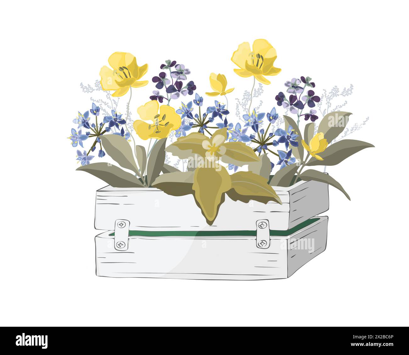 Vector flowers and herbs in a garden wooden white box. Stock Vector