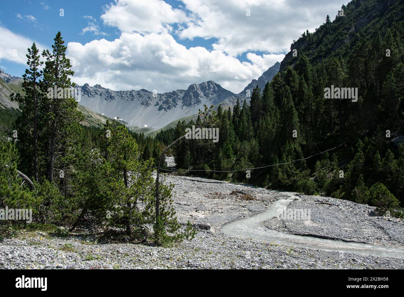 Faszinierende Auenlandschaft im Val Plavna, Unterengadin Stock Photo