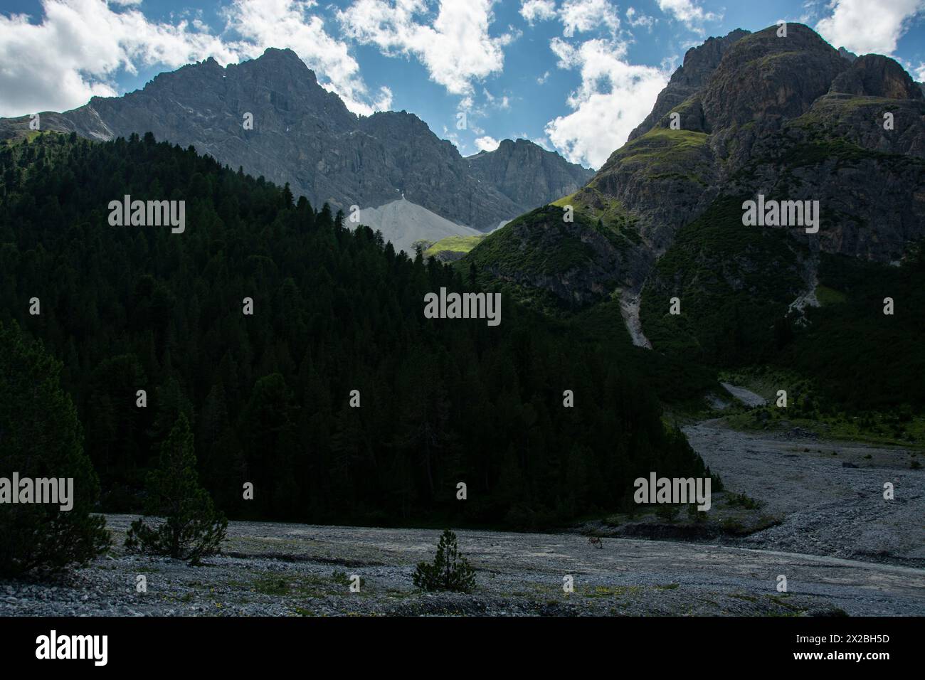 Faszinierende Auenlandschaft im Val Plavna, Unterengadin Stock Photo