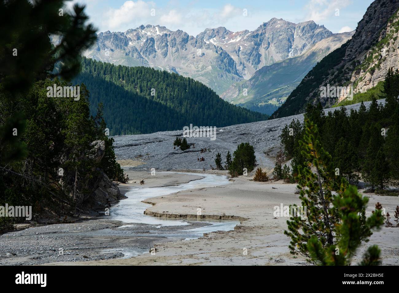Faszinierende Auenlandschaft im Val Plavna, Unterengadin Stock Photo