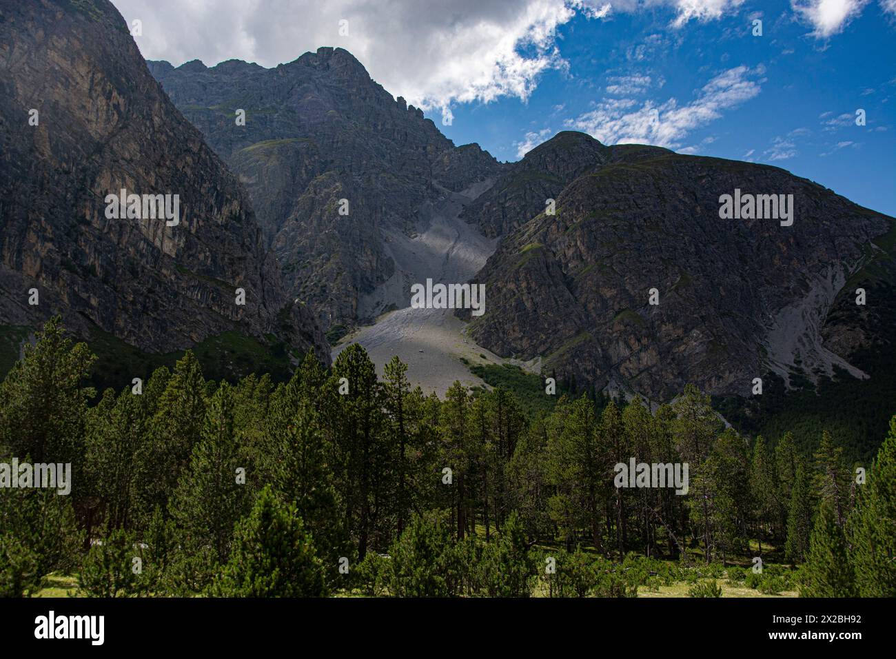 Faszinierende Auenlandschaft im Val Plavna, Unterengadin Stock Photo