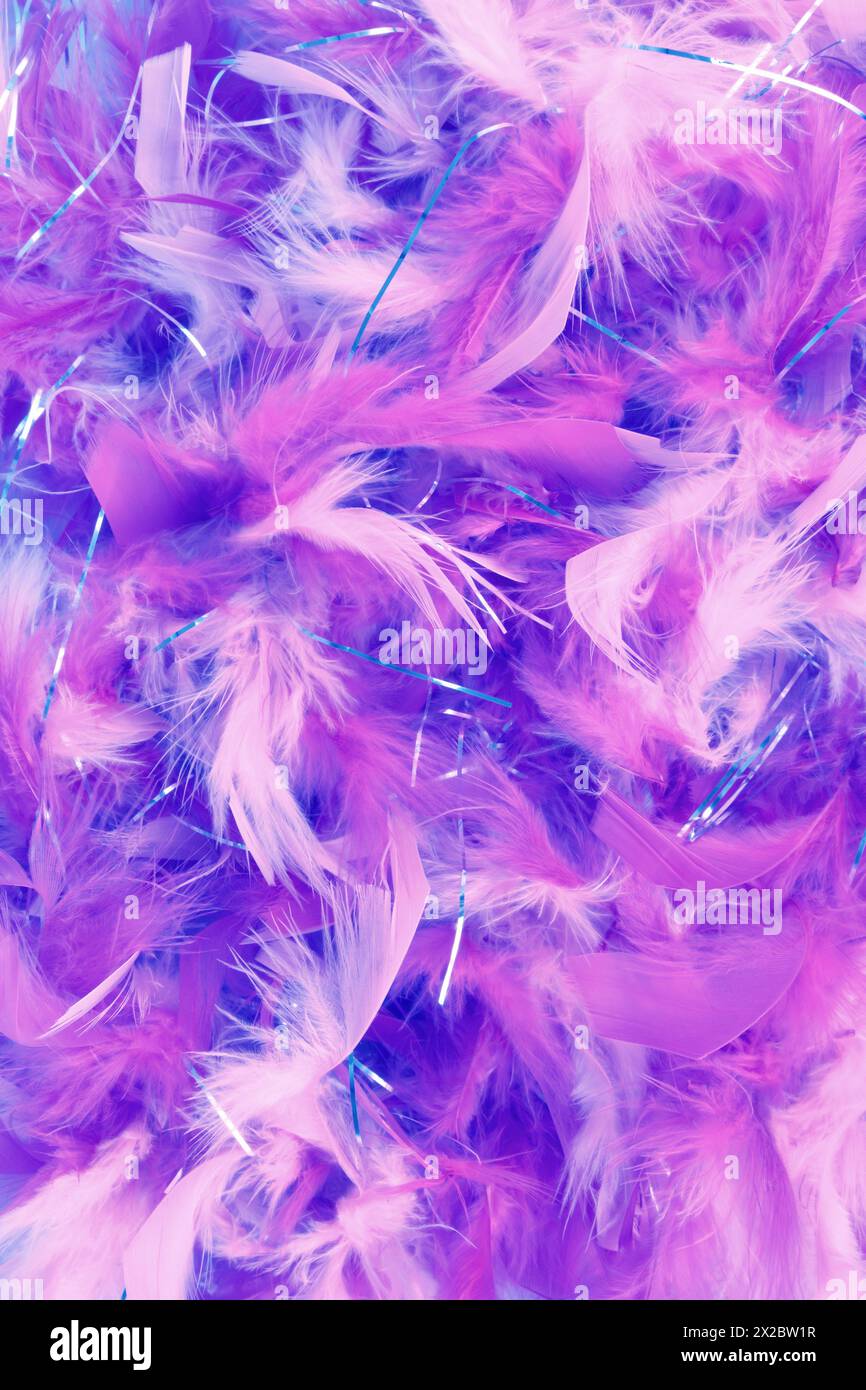 Bird with radiant feathers hi-res stock photography and images - Alamy