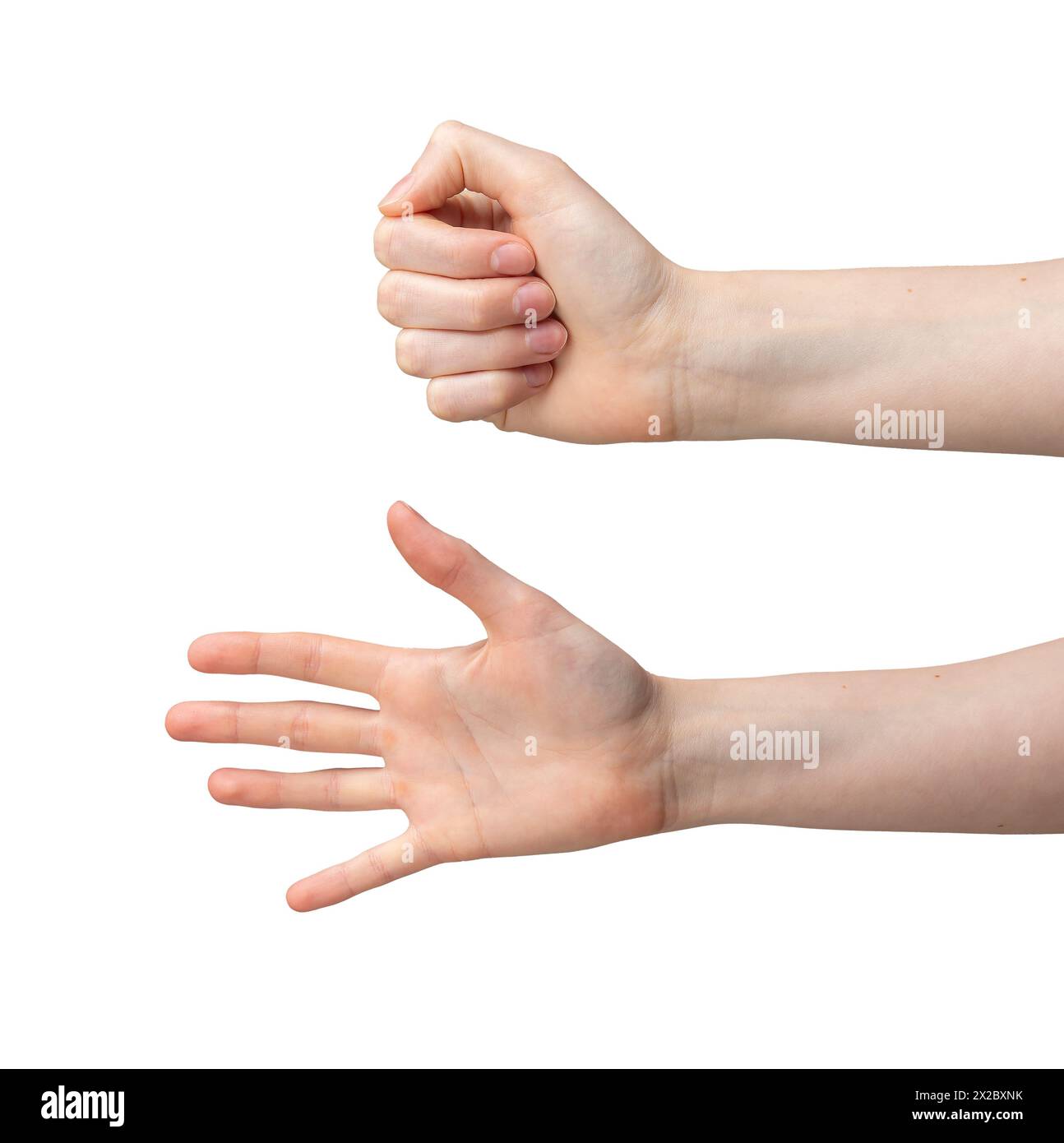 Open and closed fist, palm gestures. Hand showing signs, clenched