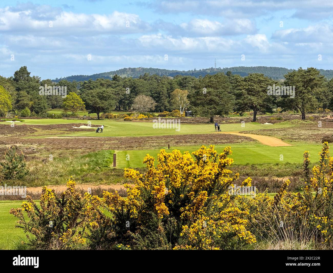 Hankley Common, Elstead. 21st April 2024. A bright but cool morning across the Home Counties. Sunny intervals greeted two mountain bikers at Hankley Common near Godalming in Surrey. Credit: james jagger/Alamy Live News Stock Photo