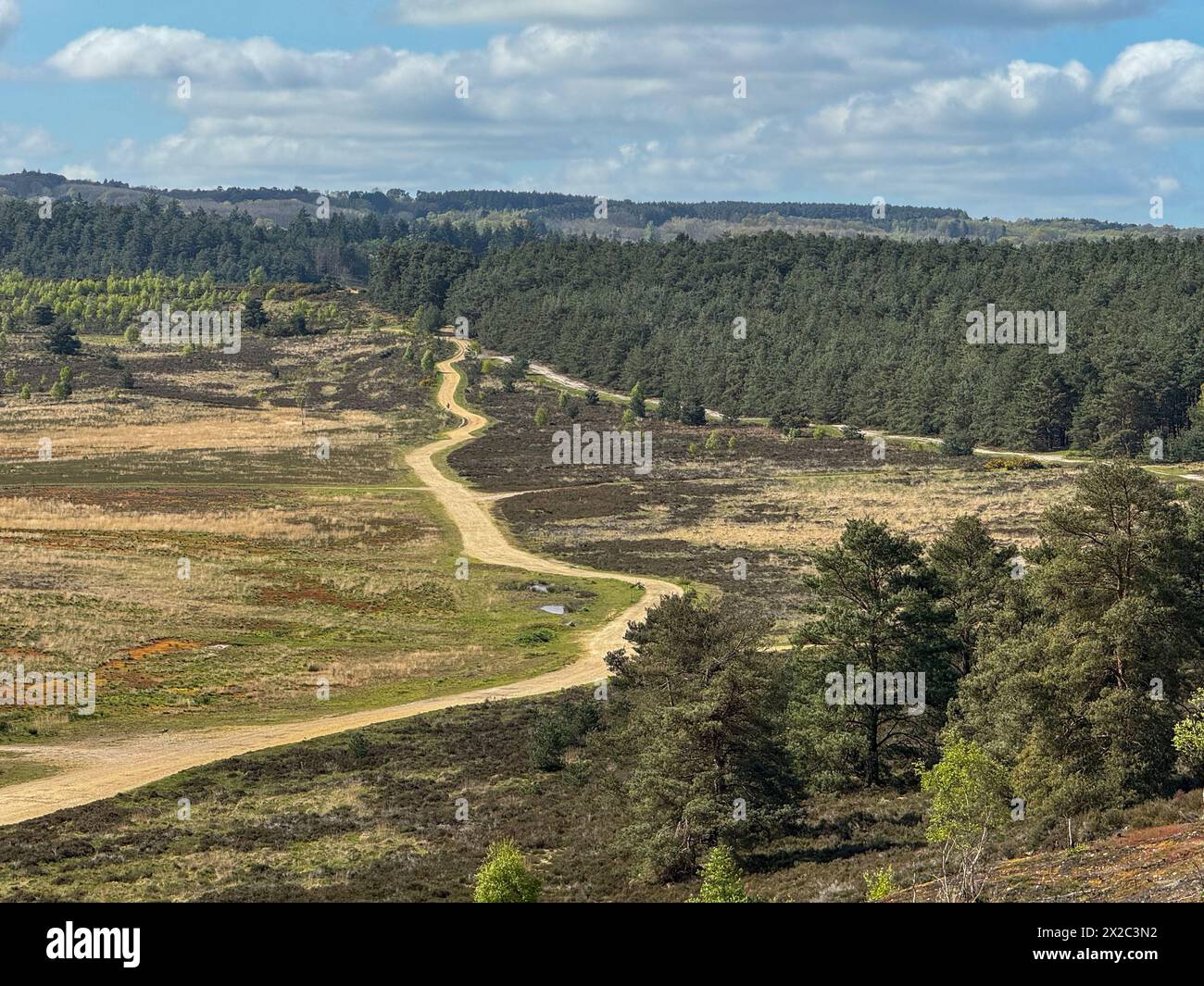 Hankley Common, Elstead. 21st April 2024. A bright but cool morning across the Home Counties. Sunny intervals greeted two mountain bikers at Hankley Common near Godalming in Surrey. Credit: james jagger/Alamy Live News Stock Photo