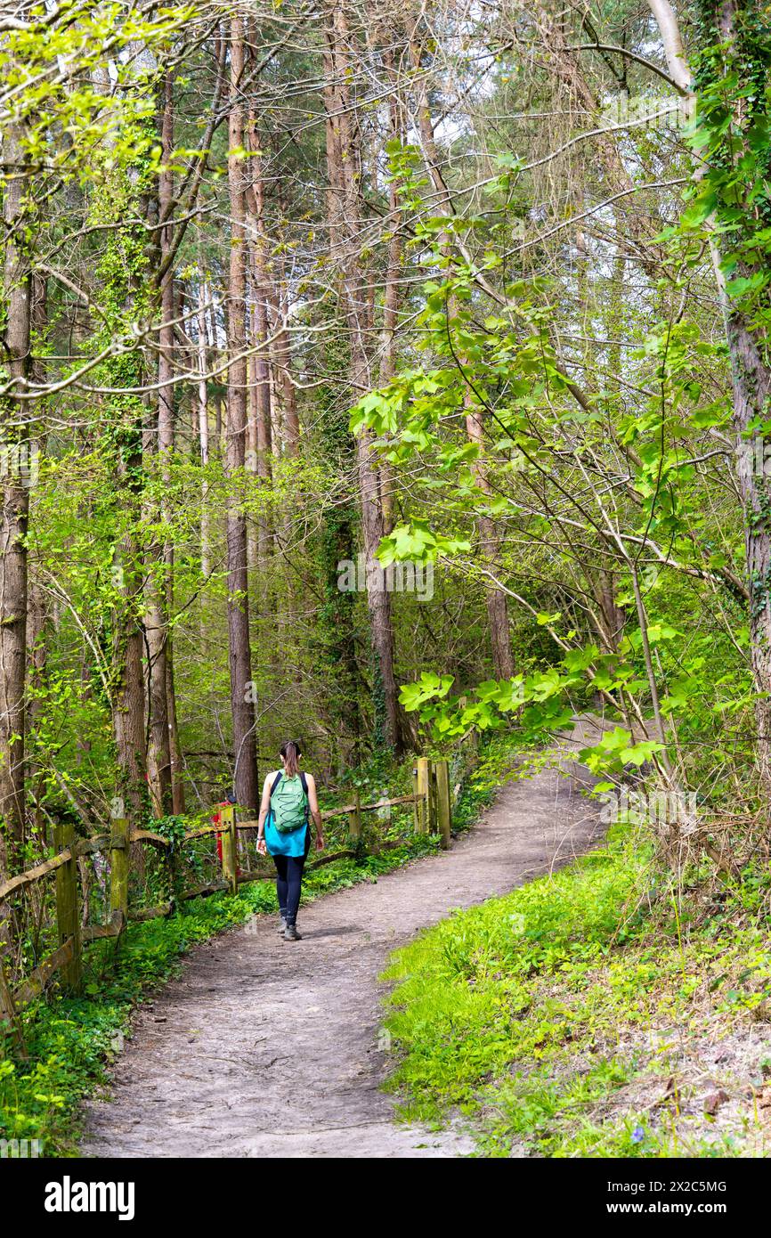 Hiker walking through the Ardingly Reservoir Nature Reserve, West Sussex, England Stock Photo