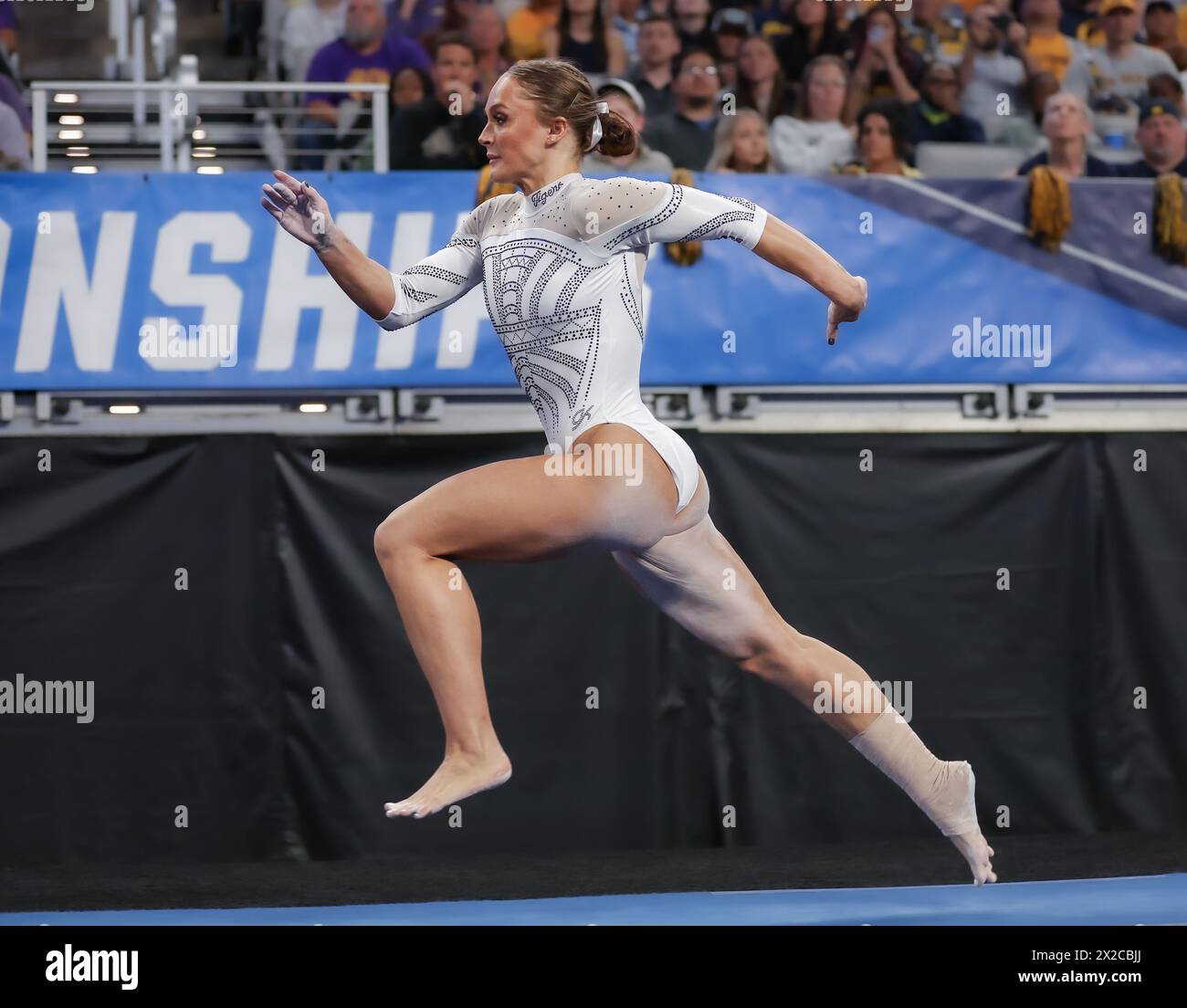 Fort Worth, TX, USA. 20th Apr, 2024. LSU's Savannah Schoenherr runs down the vault runway during the Finals of the 2024 NCAA Women's Gymnastics Championships at Dickies Arena in Fort Worth, TX. Kyle Okita/CSM/Alamy Live News Stock Photo