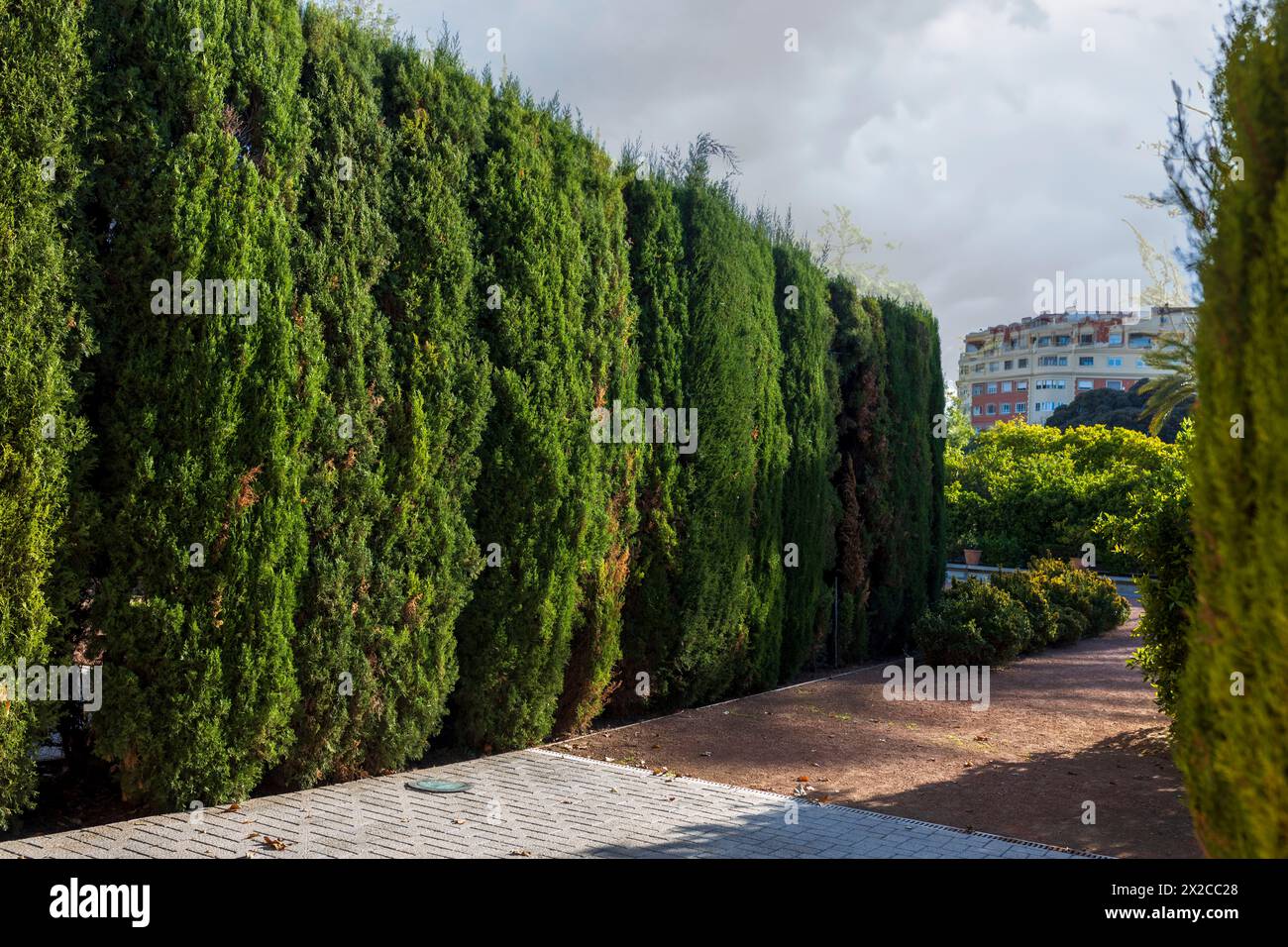 A small Landscape park in the city center, with neatly trimmed trees and gravel paths. Stock Photo