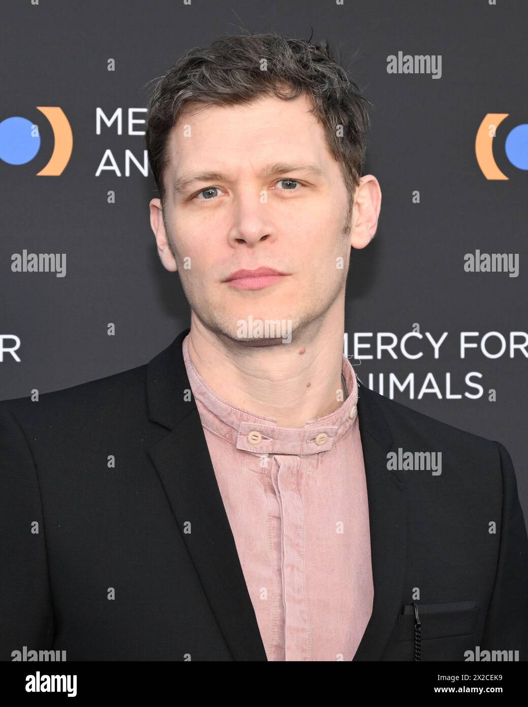 April 20, 2024, Los Angeles, California, U.S.: 20 April 2024 - Los Angeles, California - Joseph Morgan. 25th Mercy for Animals Gala Celebration at Rolling Greens. (Credit Image: © Billy Bennight/ZUMA Press Wire) EDITORIAL USAGE ONLY! Not for Commercial USAGE! Stock Photo