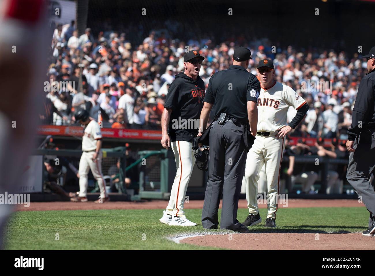 San Francisco, USA. April 21 2024 San Francisco CA, U.S.A. San Francisco manager Bob Melvin (6) and third base coach Matt Williams (9) argues with the umpire over a call and both was kick out of the game during the MLB NL west game between the Arizona Diamondbacks and the San Francisco Giants. Arizona beat San Francisco 5-3 at Oracle Park San Francisco Calif. Thurman James/CSM Credit: Cal Sport Media/Alamy Live News Stock Photo