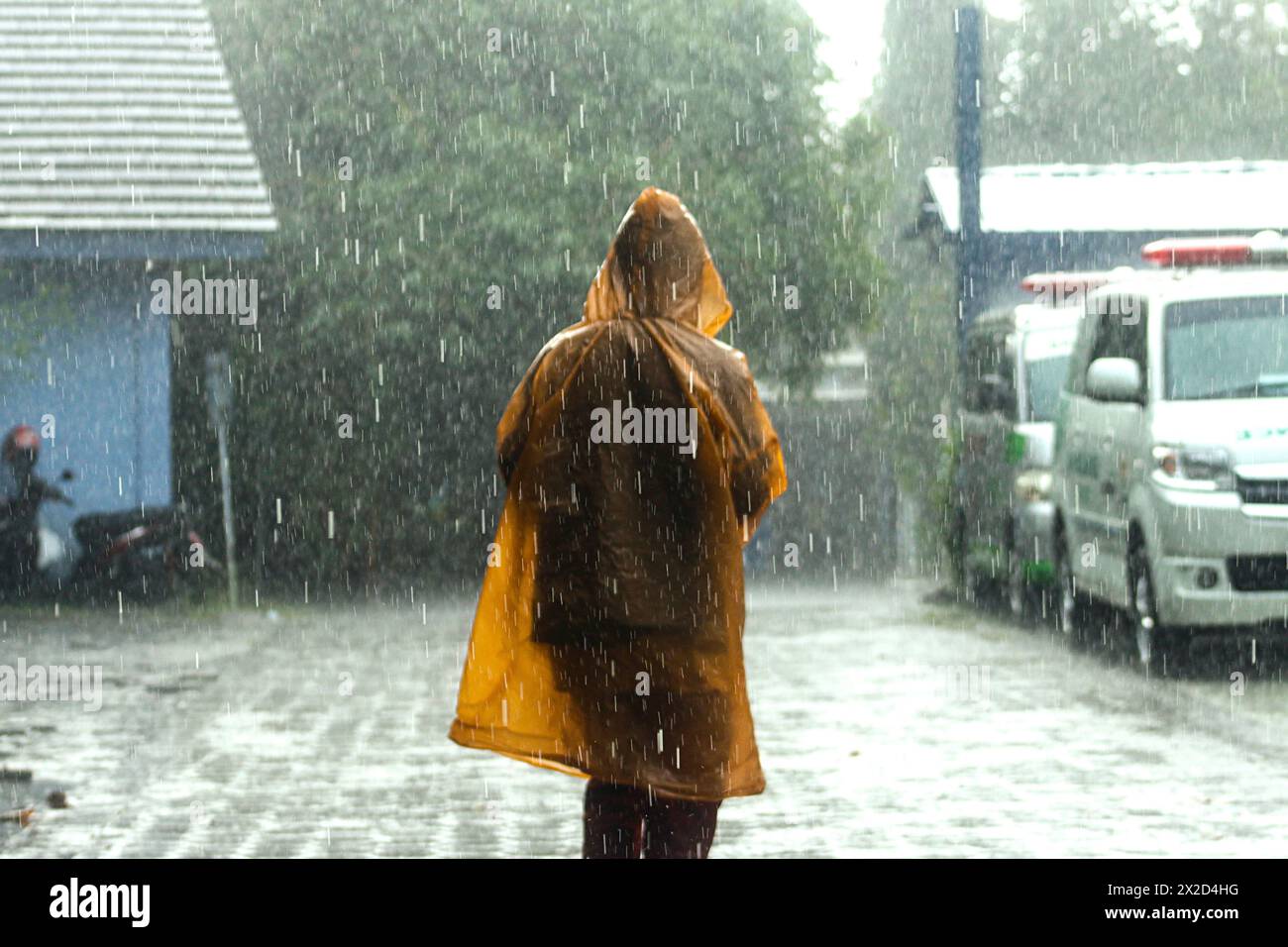 A man walks in the rain with a raincoat yellow in Bogor, West Java ...