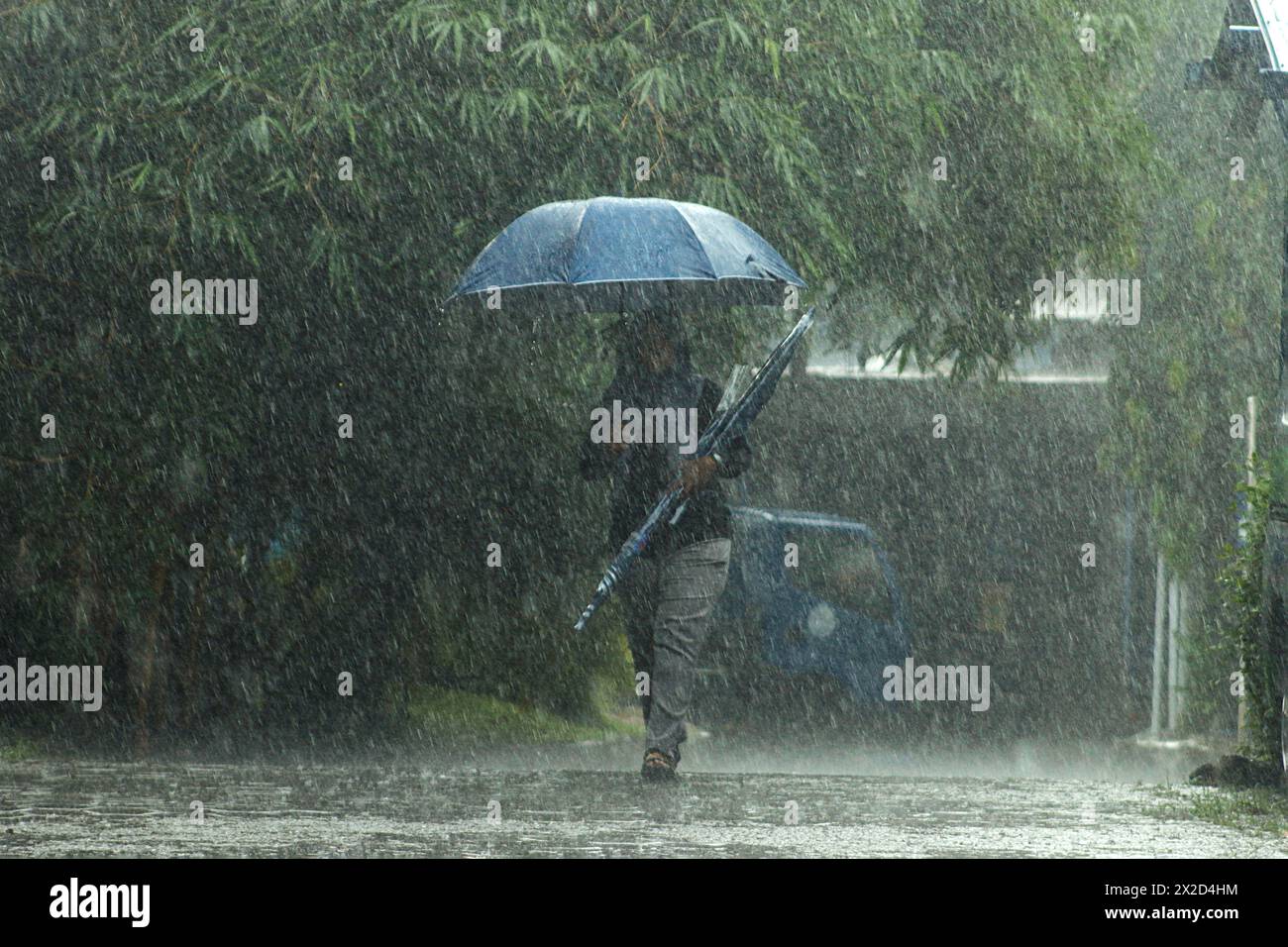 A woman walks in the rain with an umbrella in Bogor, West Java ...