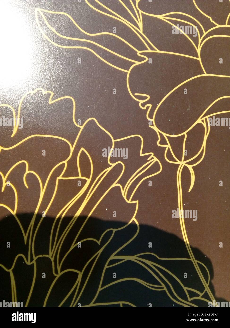 IMAGE POUVANT SERVIR DE TEXTURE Stock Photo