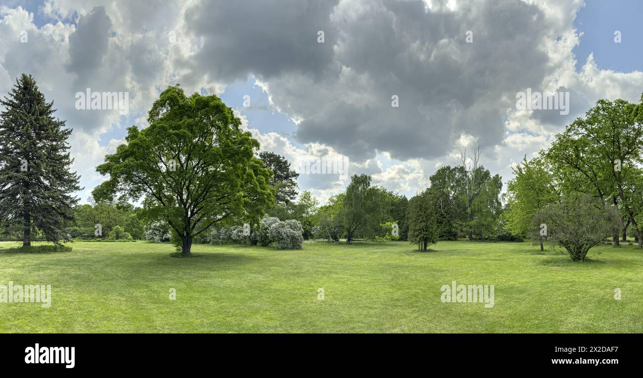 picturesque scenery of green park in summer cloudy day. panoramic view. Stock Photo