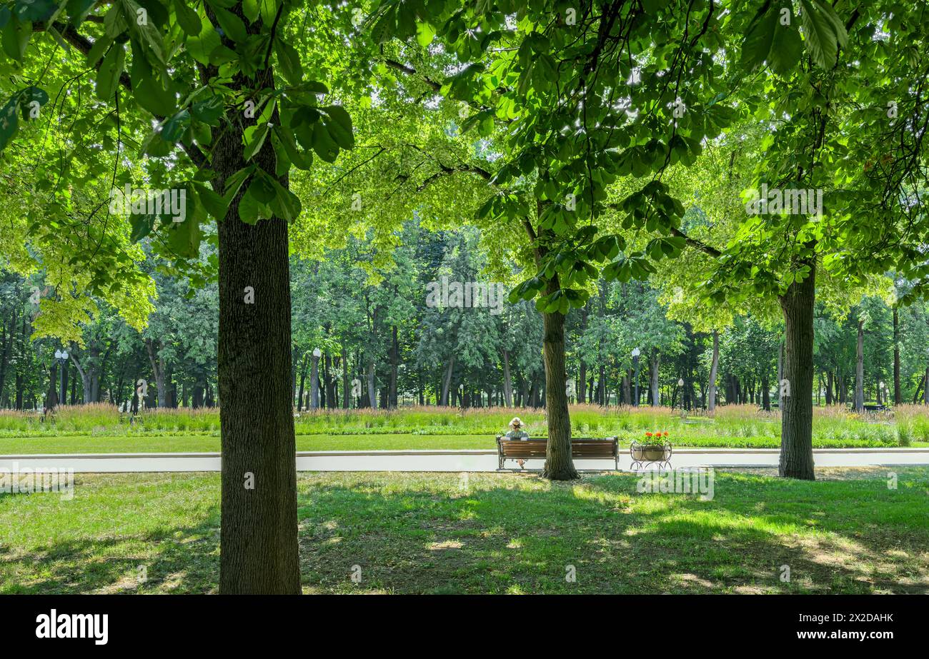 woman in hat relaxing on the bench in summer park at sunny day. Stock Photo
