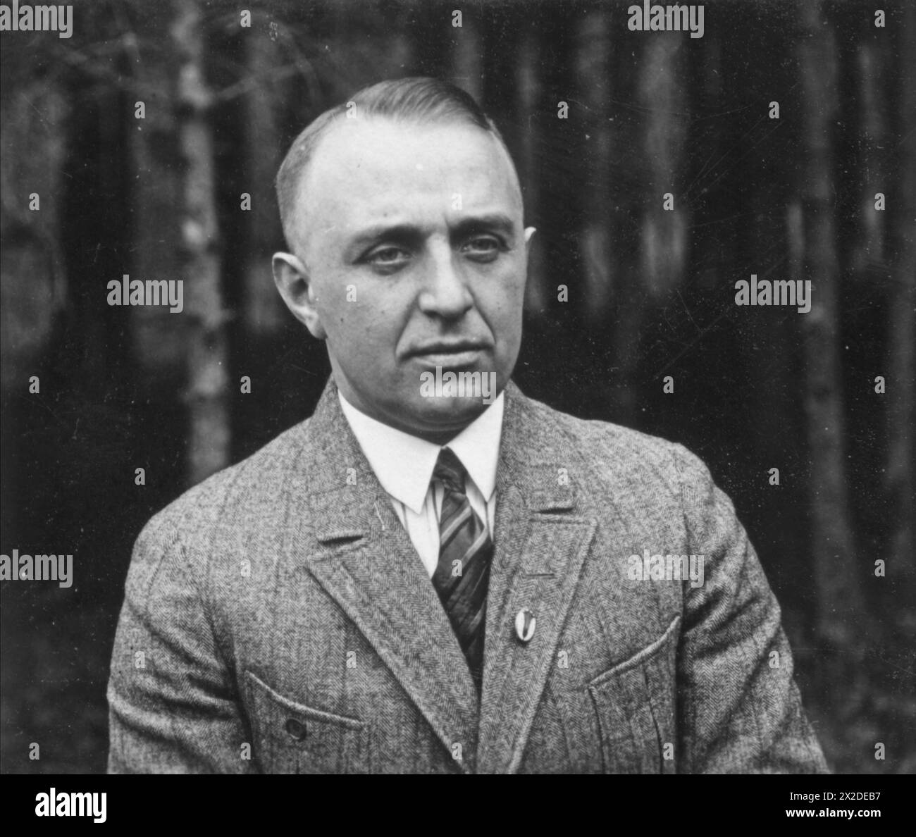 Schueler, Hermann, German jurist, 1925, ADDITIONAL-RIGHTS-CLEARANCE-INFO-NOT-AVAILABLE Stock Photo