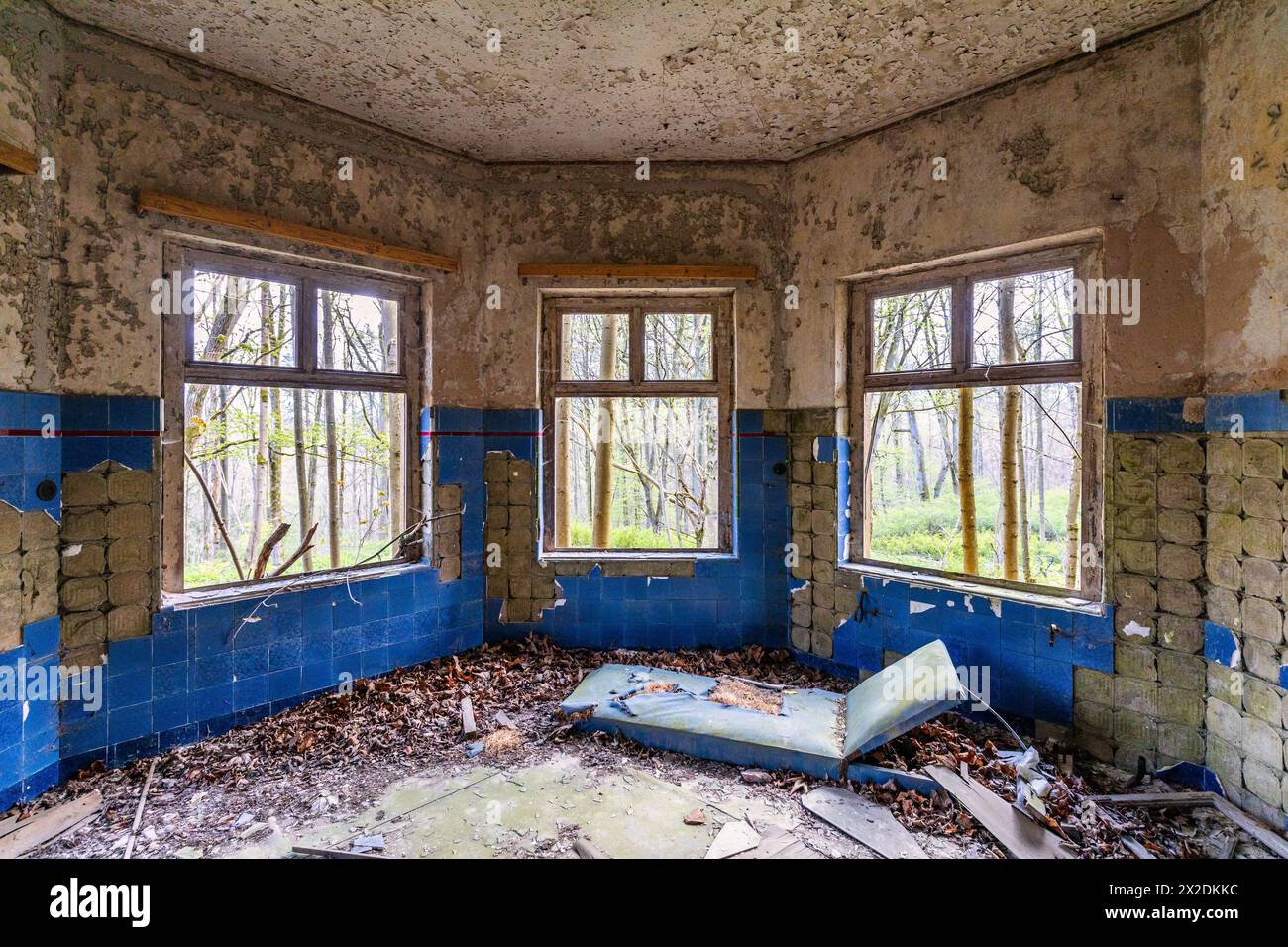 Lost Places Harz 3 Fenster Stock Photo