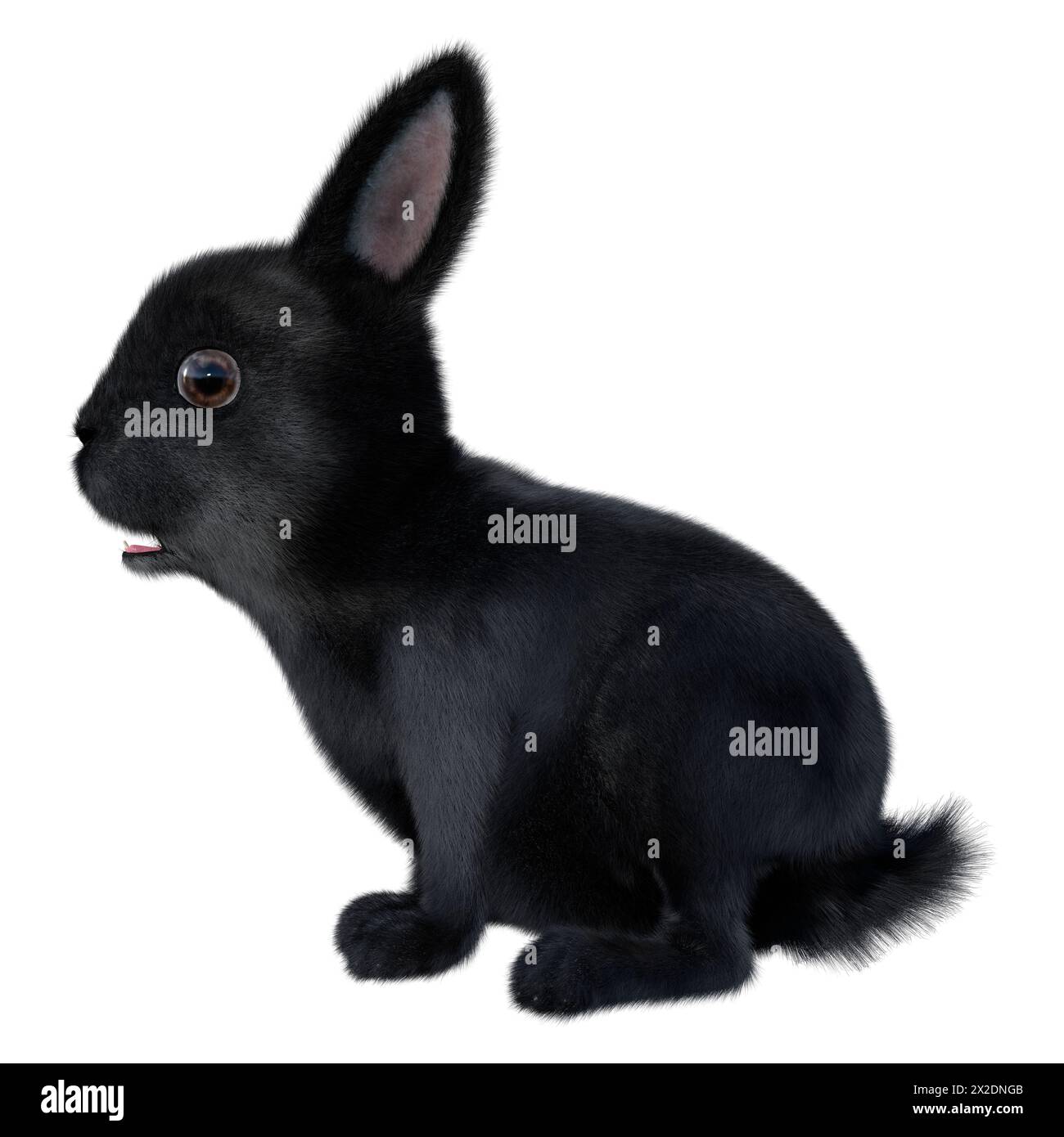 3D rendering of a black bunny isolated on white background Stock Photo