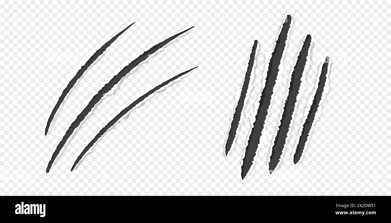 Scratch mark claw trace wild animal nails scratches textured torn paper