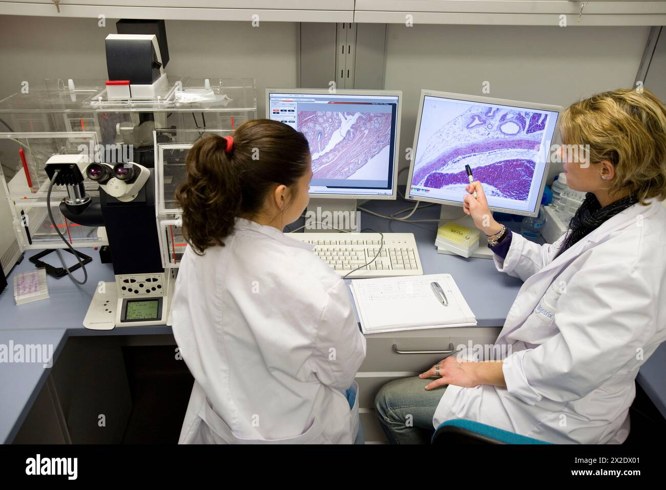 Histological cuts, confocal microscope, biopharmaceutical lab, development and production of innovative drugs using adult stem cells, Cellerix, Grupo Stock Photo